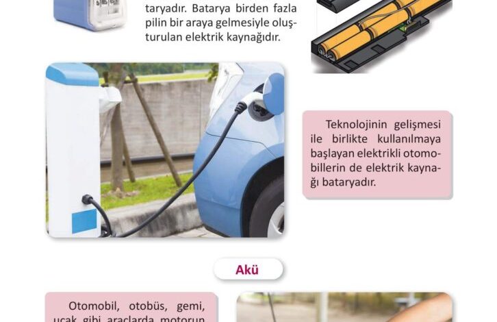 3. Sınıf Fen Bilimleri Meb Yayınları Sayfa 226 Cevapları