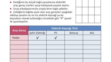 3. Sınıf Fen Bilimleri Meb Yayınları Sayfa 227 Cevapları