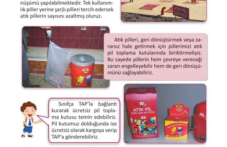 3. Sınıf Fen Bilimleri Meb Yayınları Sayfa 229 Cevapları