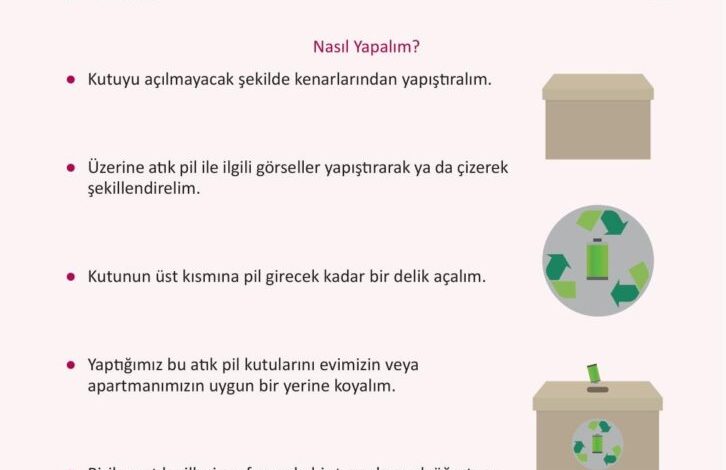 3. Sınıf Fen Bilimleri Meb Yayınları Sayfa 230 Cevapları