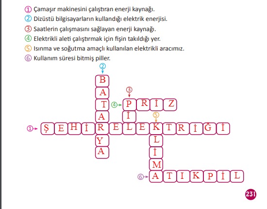 3. Sınıf Fen Bilimleri Meb Yayınları Sayfa 231 Cevapları