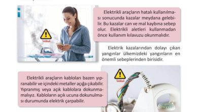 3. Sınıf Fen Bilimleri Meb Yayınları Sayfa 234 Cevapları