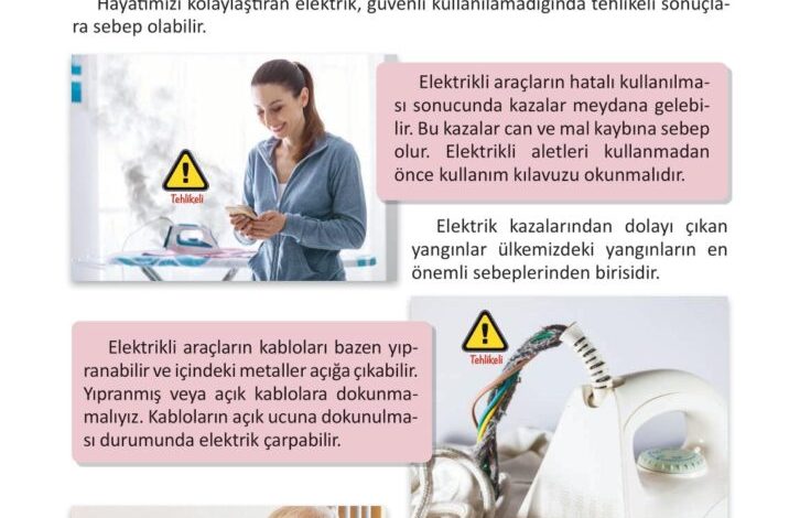 3. Sınıf Fen Bilimleri Meb Yayınları Sayfa 234 Cevapları