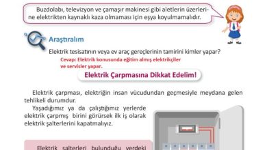 3. Sınıf Fen Bilimleri Meb Yayınları Sayfa 237 Cevapları