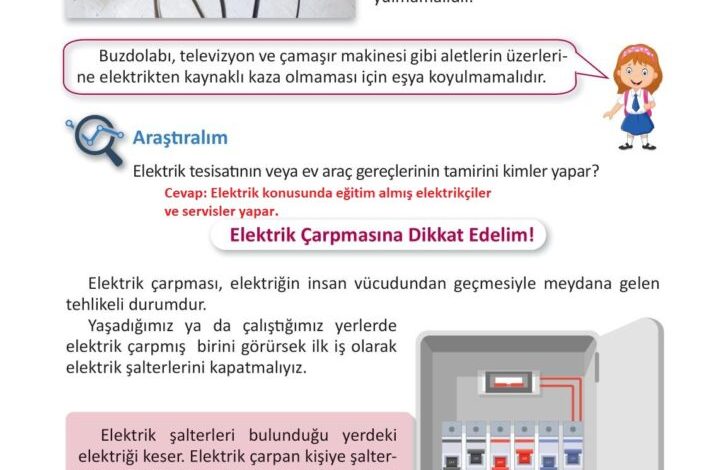 3. Sınıf Fen Bilimleri Meb Yayınları Sayfa 237 Cevapları