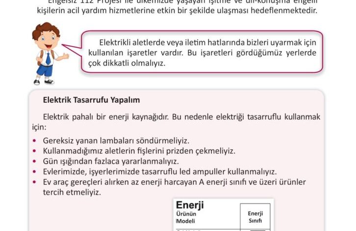 3. Sınıf Fen Bilimleri Meb Yayınları Sayfa 238 Cevapları