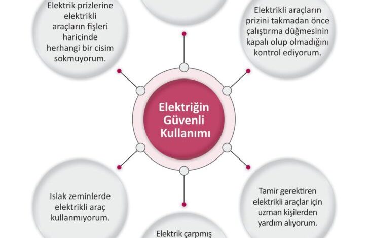 3. Sınıf Fen Bilimleri Meb Yayınları Sayfa 239 Cevapları