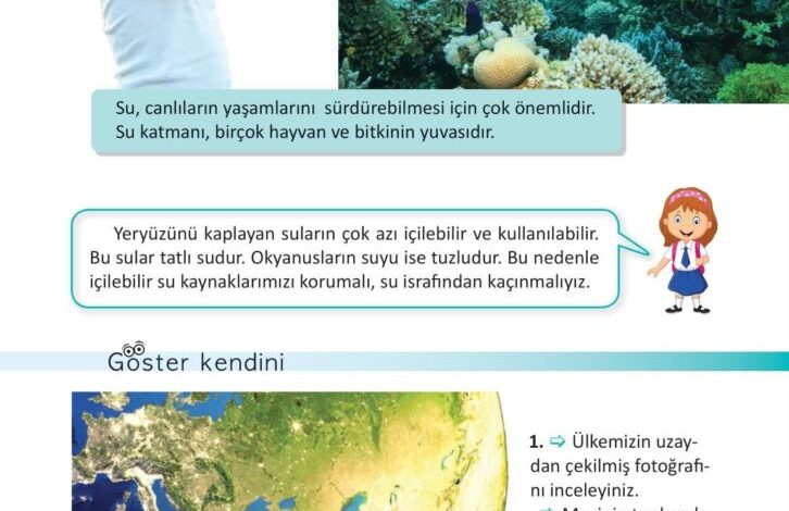 3. Sınıf Fen Bilimleri Meb Yayınları Sayfa 24 Cevapları