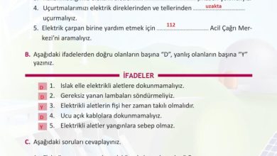 3. Sınıf Fen Bilimleri Meb Yayınları Sayfa 240 Cevapları