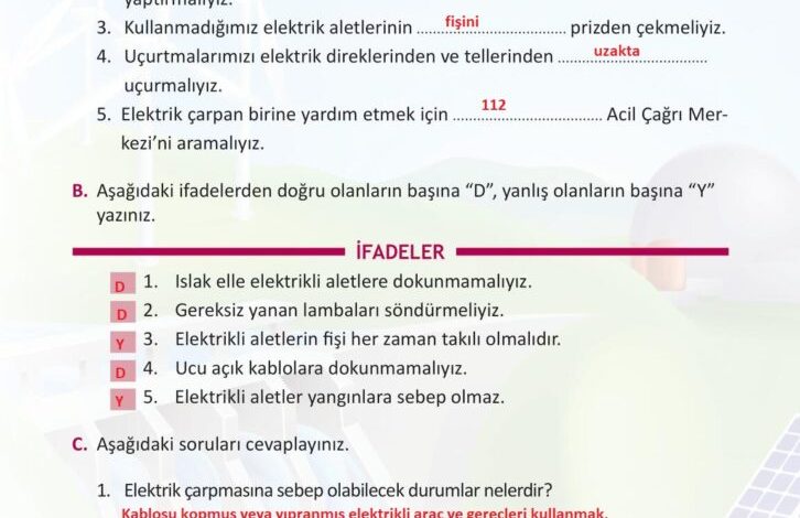 3. Sınıf Fen Bilimleri Meb Yayınları Sayfa 240 Cevapları