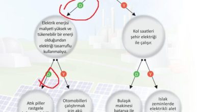 3. Sınıf Fen Bilimleri Meb Yayınları Sayfa 241 Cevapları