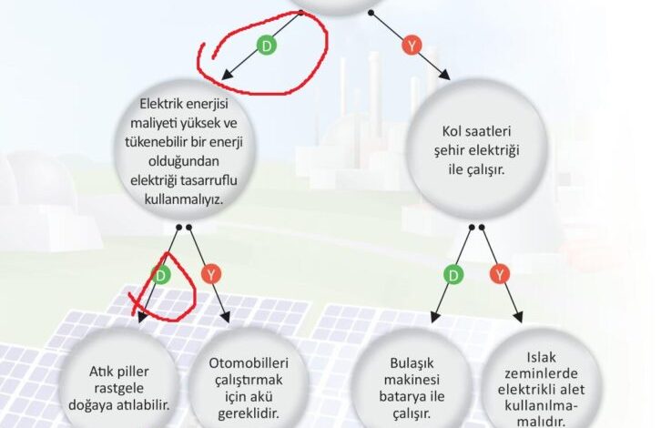 3. Sınıf Fen Bilimleri Meb Yayınları Sayfa 241 Cevapları