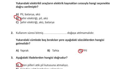 3. Sınıf Fen Bilimleri Meb Yayınları Sayfa 242 Cevapları