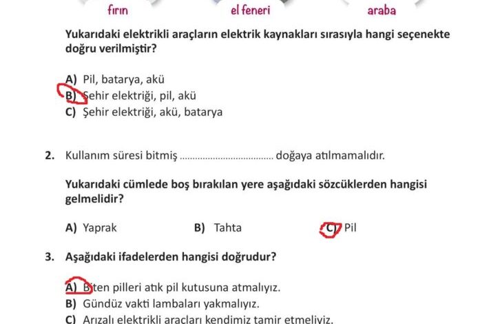 3. Sınıf Fen Bilimleri Meb Yayınları Sayfa 242 Cevapları