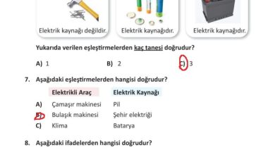 3. Sınıf Fen Bilimleri Meb Yayınları Sayfa 243 Cevapları