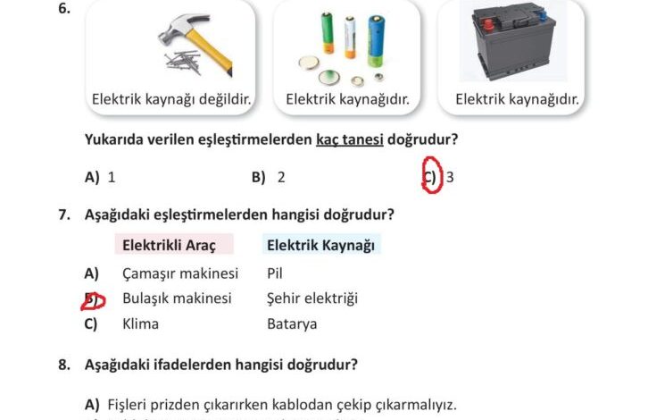 3. Sınıf Fen Bilimleri Meb Yayınları Sayfa 243 Cevapları