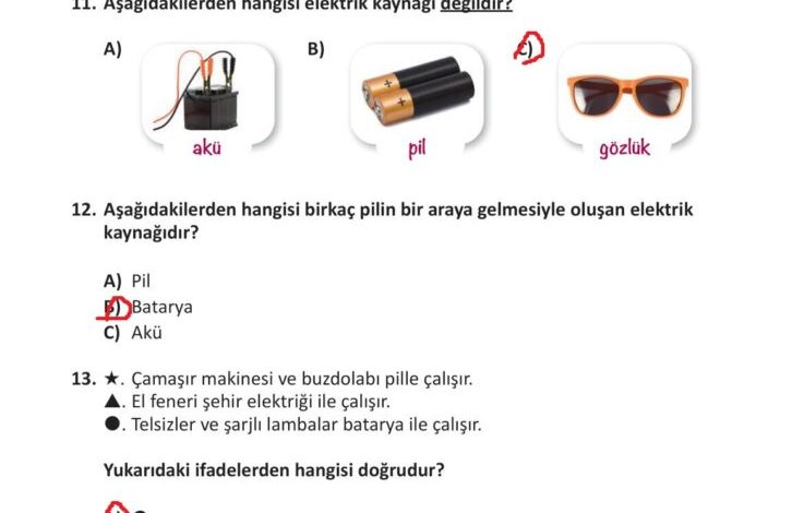 3. Sınıf Fen Bilimleri Meb Yayınları Sayfa 244 Cevapları