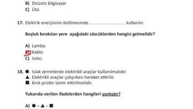 3. Sınıf Fen Bilimleri Meb Yayınları Sayfa 245 Cevapları