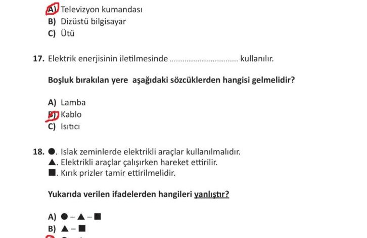 3. Sınıf Fen Bilimleri Meb Yayınları Sayfa 245 Cevapları