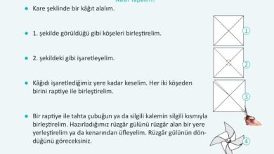 3. Sınıf Fen Bilimleri Meb Yayınları Sayfa 27 Cevapları