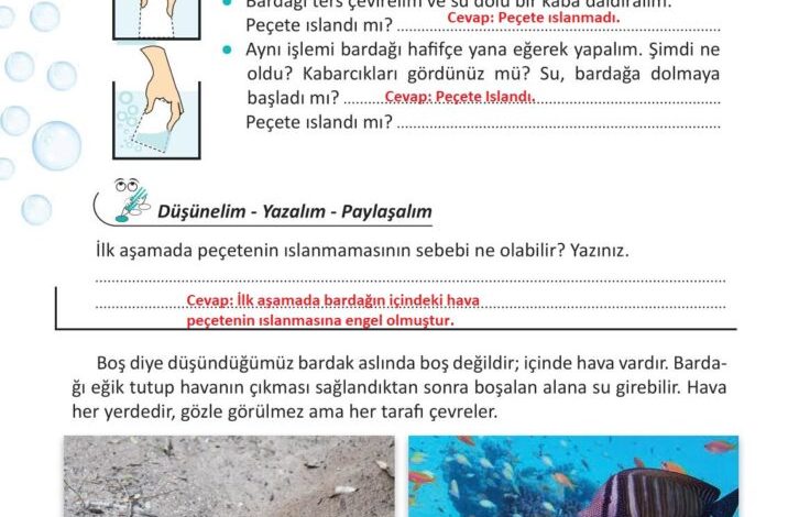 3. Sınıf Fen Bilimleri Meb Yayınları Sayfa 28 Cevapları