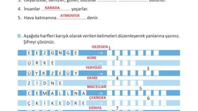 3. Sınıf Fen Bilimleri Meb Yayınları Sayfa 32 Cevapları