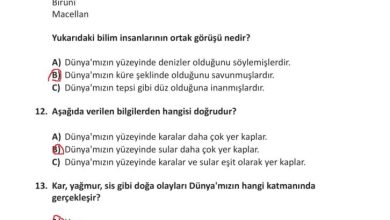 3. Sınıf Fen Bilimleri Meb Yayınları Sayfa 35 Cevapları