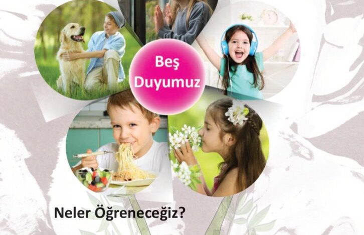 3. Sınıf Fen Bilimleri Meb Yayınları Sayfa 36 Cevapları