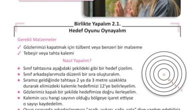 3. Sınıf Fen Bilimleri Meb Yayınları Sayfa 39 Cevapları