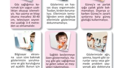 3. Sınıf Fen Bilimleri Meb Yayınları Sayfa 42 Cevapları