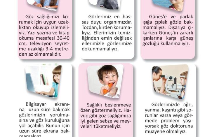 3. Sınıf Fen Bilimleri Meb Yayınları Sayfa 42 Cevapları