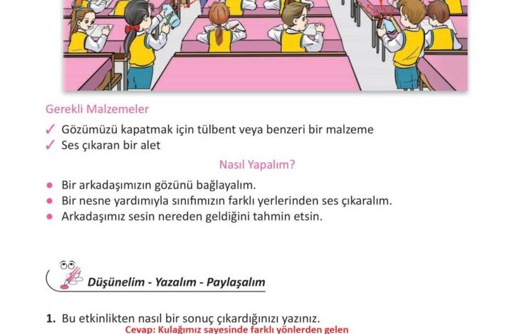 3. Sınıf Fen Bilimleri Meb Yayınları Sayfa 46 Cevapları