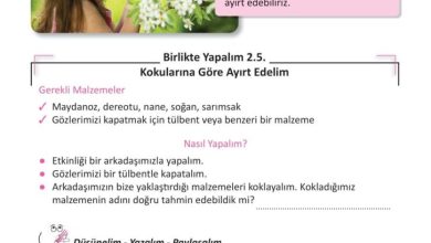 3. Sınıf Fen Bilimleri Meb Yayınları Sayfa 48 Cevapları