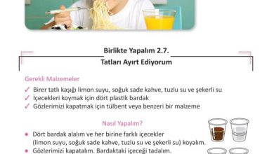 3. Sınıf Fen Bilimleri Meb Yayınları Sayfa 51 Cevapları