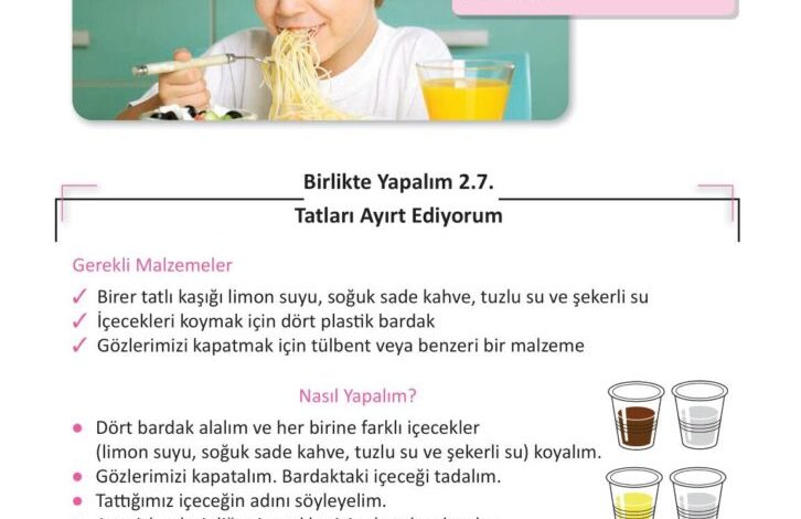 3. Sınıf Fen Bilimleri Meb Yayınları Sayfa 51 Cevapları