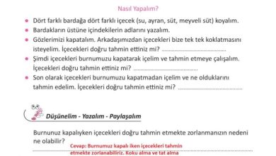 3. Sınıf Fen Bilimleri Meb Yayınları Sayfa 53 Cevapları