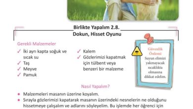 3. Sınıf Fen Bilimleri Meb Yayınları Sayfa 55 Cevapları