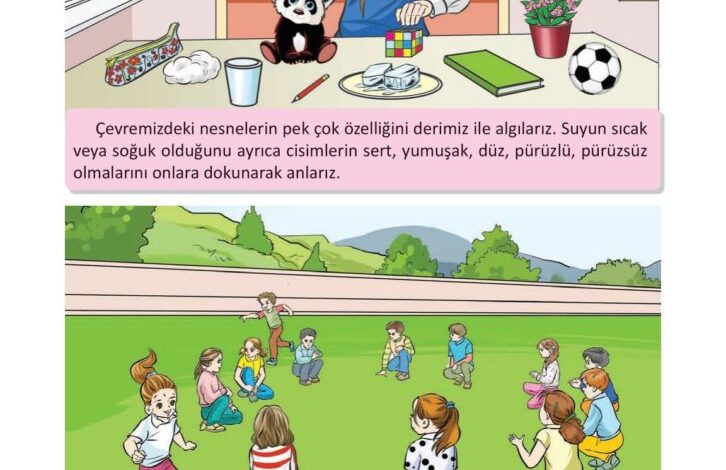 3. Sınıf Fen Bilimleri Meb Yayınları Sayfa 56 Cevapları