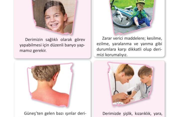 3. Sınıf Fen Bilimleri Meb Yayınları Sayfa 58 Cevapları