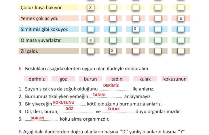 3. Sınıf Fen Bilimleri Meb Yayınları Sayfa 61 Cevapları