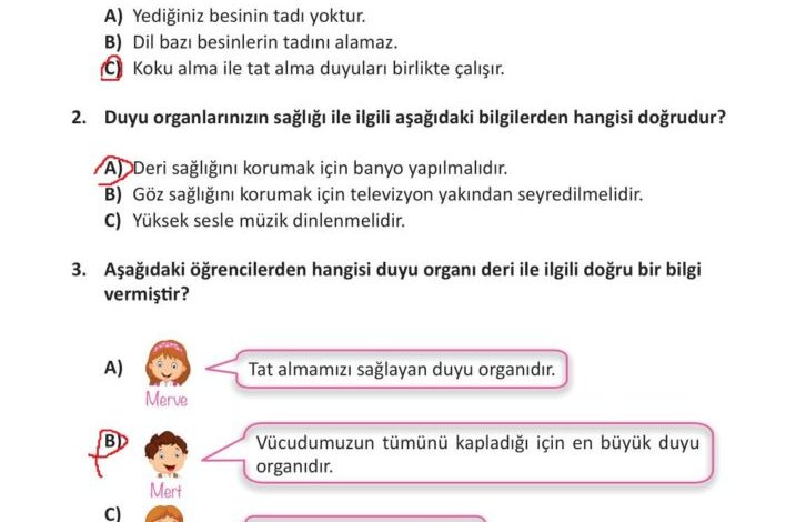 3. Sınıf Fen Bilimleri Meb Yayınları Sayfa 62 Cevapları