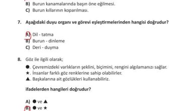 3. Sınıf Fen Bilimleri Meb Yayınları Sayfa 63 Cevapları