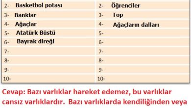 3. Sınıf Fen Bilimleri Meb Yayınları Sayfa 68 Cevapları