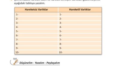 3. Sınıf Fen Bilimleri Meb Yayınları Sayfa 69 Cevapları