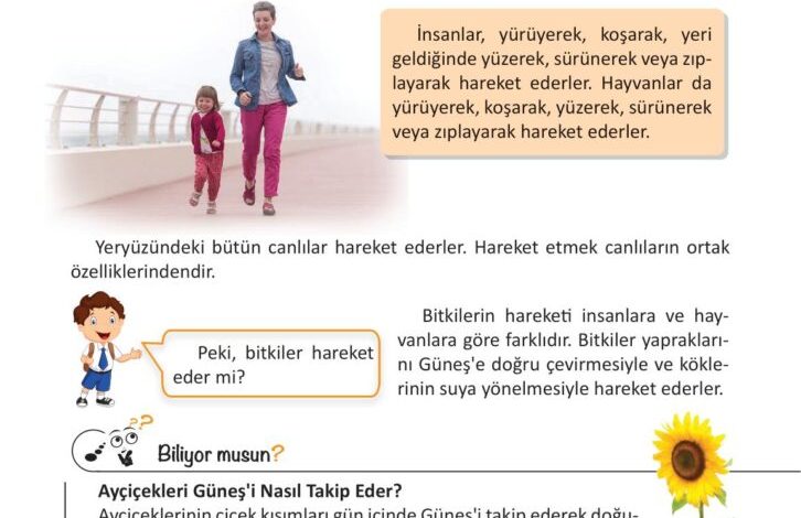 3. Sınıf Fen Bilimleri Meb Yayınları Sayfa 70 Cevapları