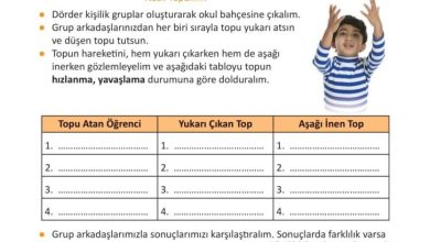 3. Sınıf Fen Bilimleri Meb Yayınları Sayfa 71 Cevapları