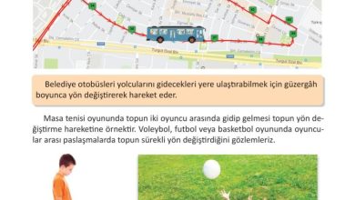 3. Sınıf Fen Bilimleri Meb Yayınları Sayfa 74 Cevapları