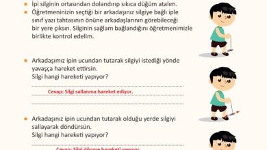 3. Sınıf Fen Bilimleri Meb Yayınları Sayfa 75 Cevapları