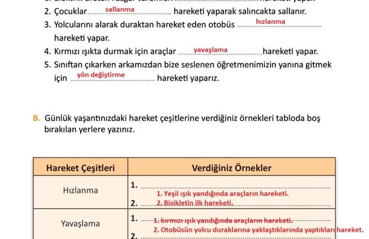 3. Sınıf Fen Bilimleri Meb Yayınları Sayfa 79 Cevapları