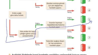 3. Sınıf Fen Bilimleri Meb Yayınları Sayfa 80 Cevapları